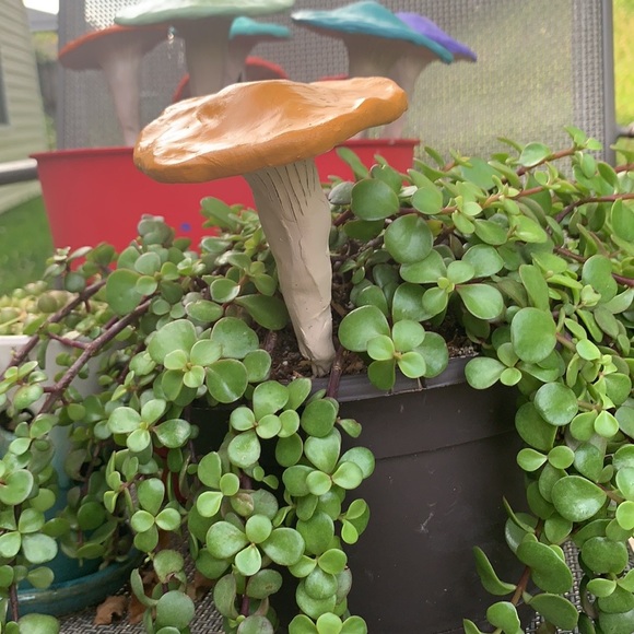 🍄🌈 Handmade Mushroom Garden Stakes Custom Order of 5 - Picture 11 of 13